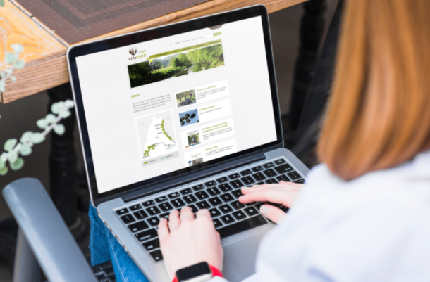 que-es-un-vortal-significado-y-ejemplos-04