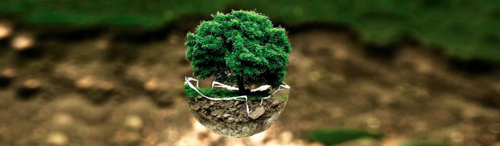 top-productos-para-tu-estrategia-de-green-marketing-02