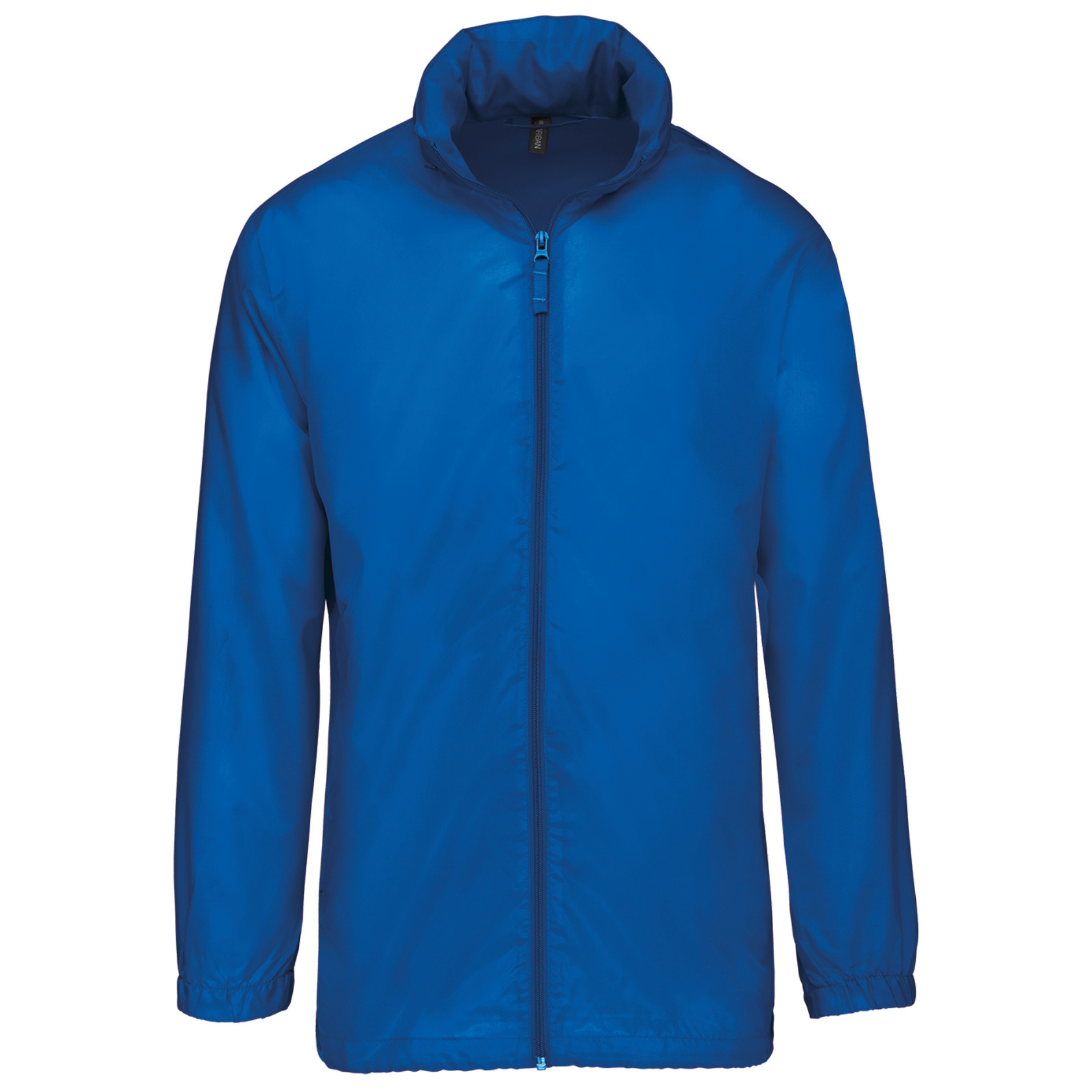 light royal blue